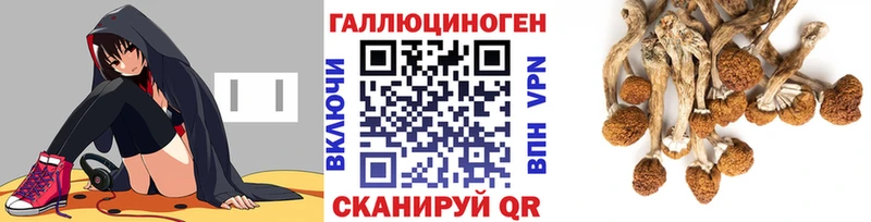 Псилоцибиновые грибы Magic Shrooms  MEGA вход  Луга 